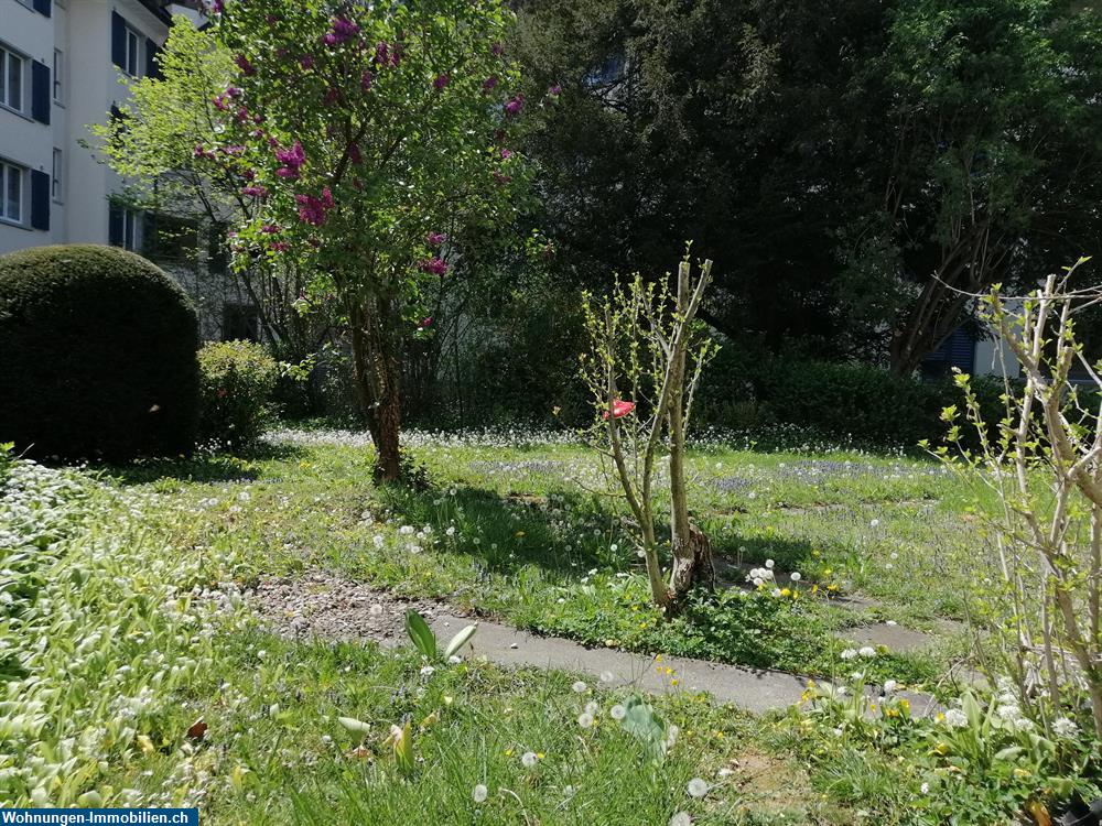 Bild 4: 2.5 Zimmer Wohnung in 8008 Zürich Seefeld, Stadtkreis 8 zu vermieten