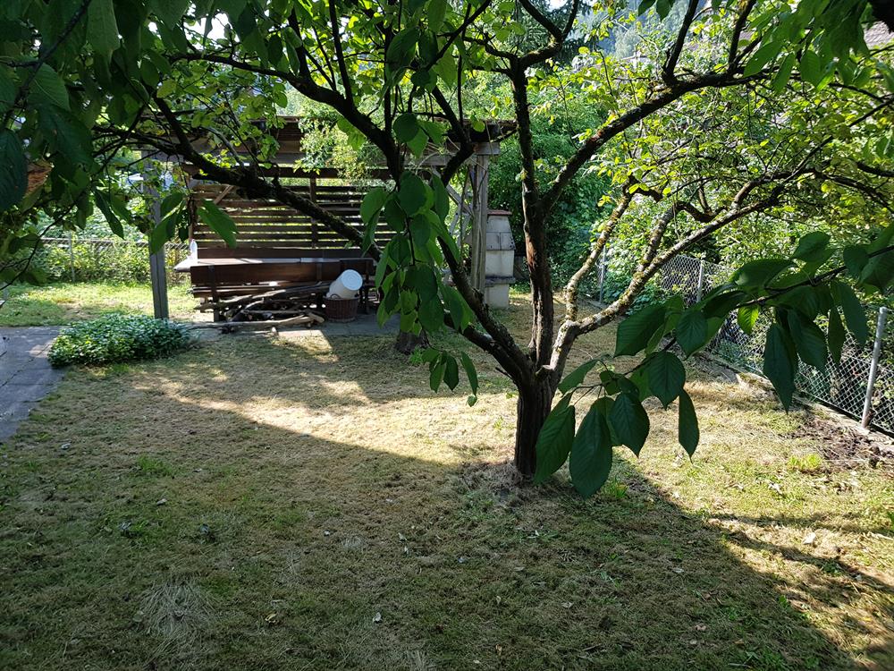 Bild 6: 6.5 Zimmer Haus in 8187 Weiach zu vermieten