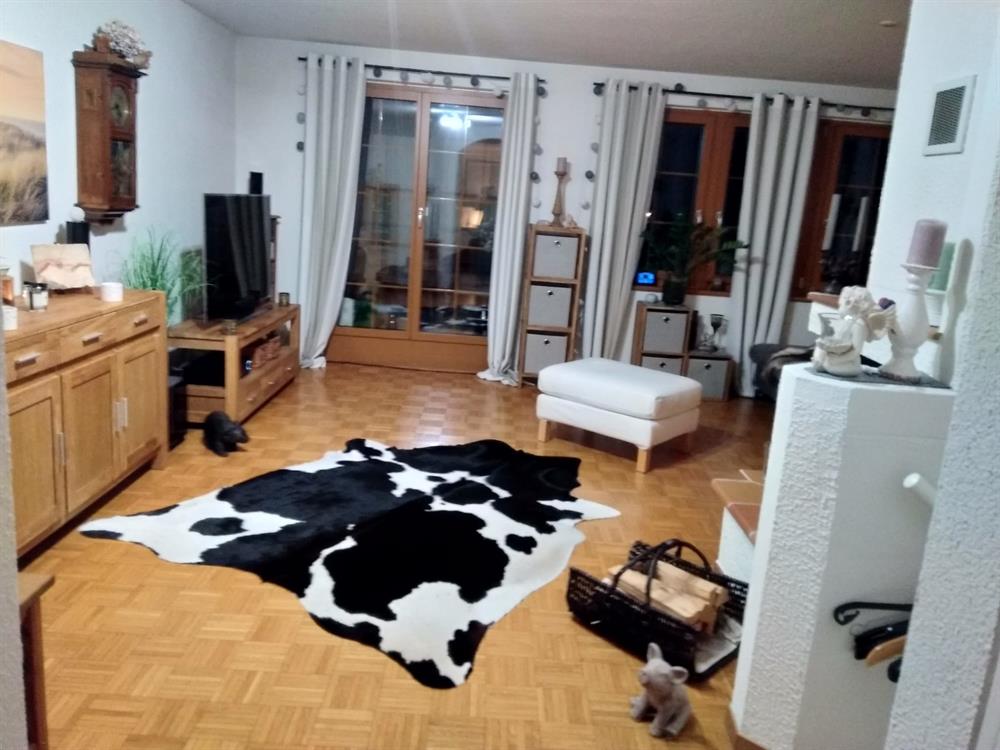 Bild 3: 3.5 Zimmer Wohnung in 8908 Hedingen zu vermieten