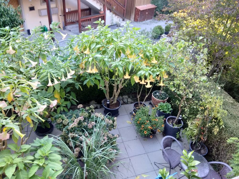 Bild 5: 3.5 Zimmer Wohnung in 8908 Hedingen zu vermieten