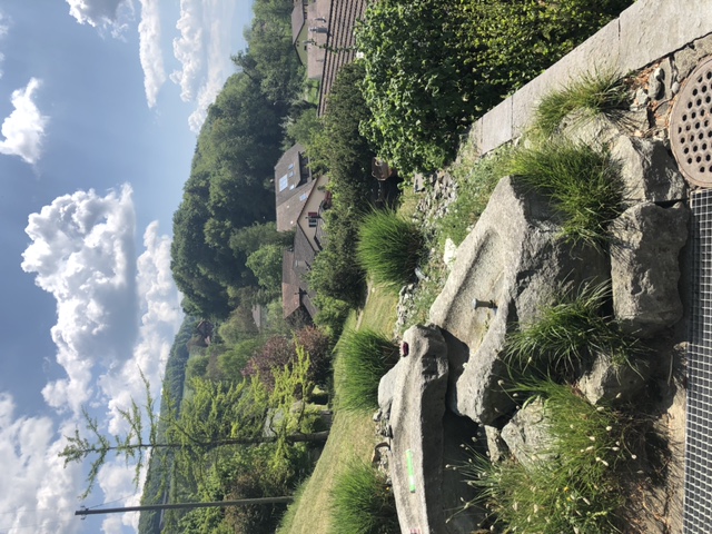 Bild 4: 6.5 Zimmer Haus in 6234 Triengen zu vermieten