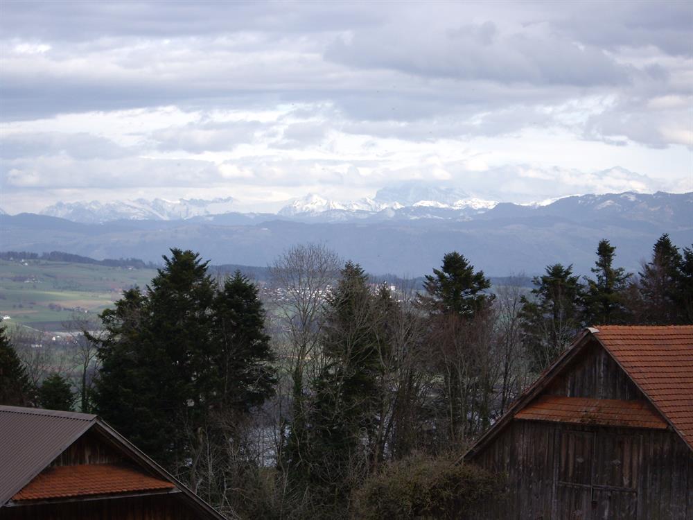 2.5 Zimmer Wohnung in 6028 Herlisberg zu vermieten