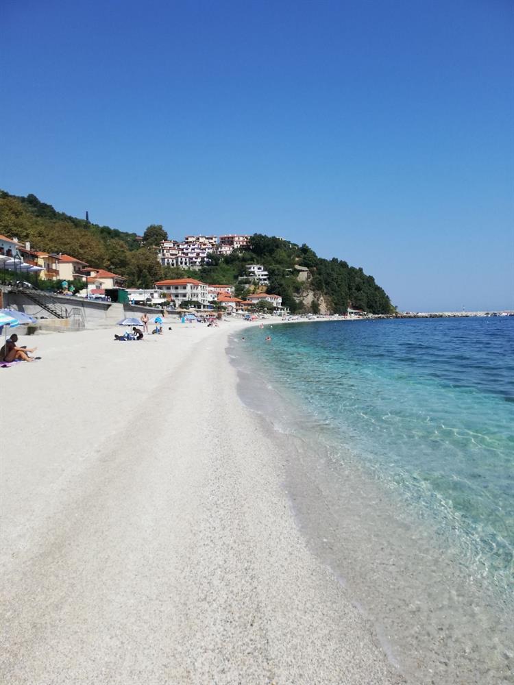 Bild 4: 4 Zimmer Ferienhaus in 9044 Wald AR zu verkaufen