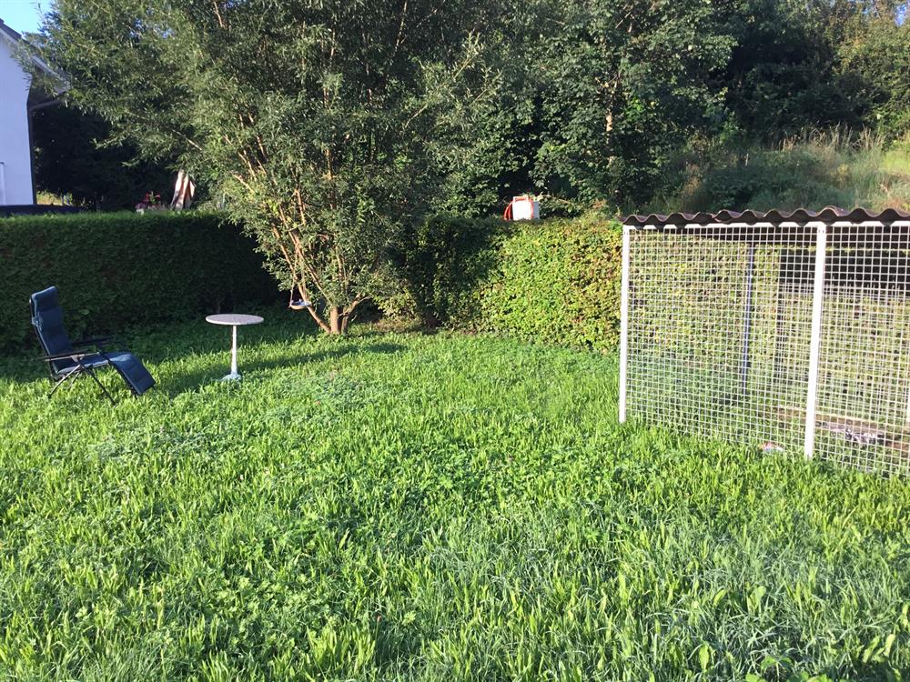 Bild 3: 5 Zimmer Haus in 4455 Zunzgen zu verkaufen