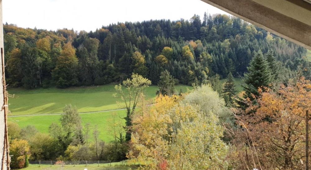 Bild 2: 3.5 Zimmer Wohnung in 6043 Adligenswil zu vermieten