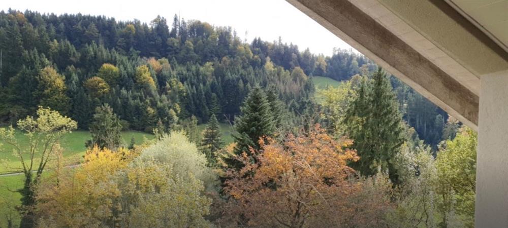 Bild 9: 3.5 Zimmer Wohnung in 6043 Adligenswil zu vermieten