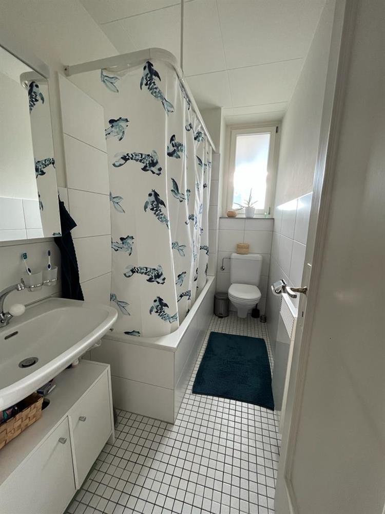 Bild 6: 3 Zimmer Wohnung in 4054 Basel-Gotthelf zu vermieten