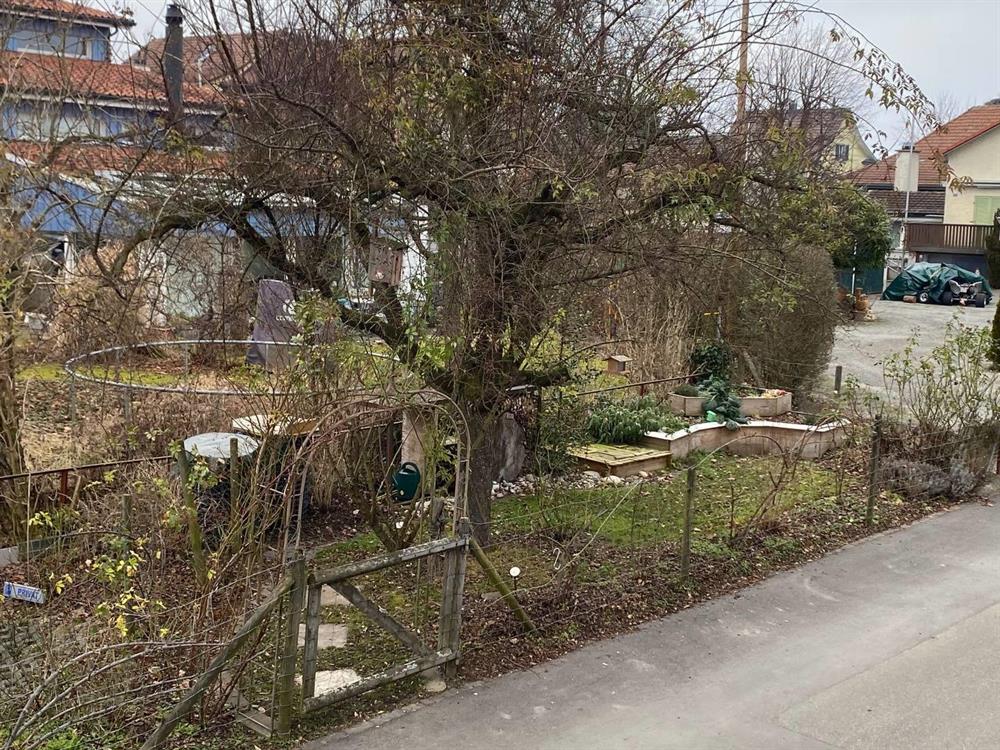 Bild 2: 3.5 Zimmer Wohnung in 8592 Uttwil zu vermieten