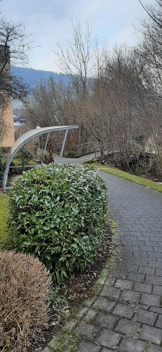 Bild 11: 3.5 Zimmer Wohnung in 6012 Obernau zu verkaufen