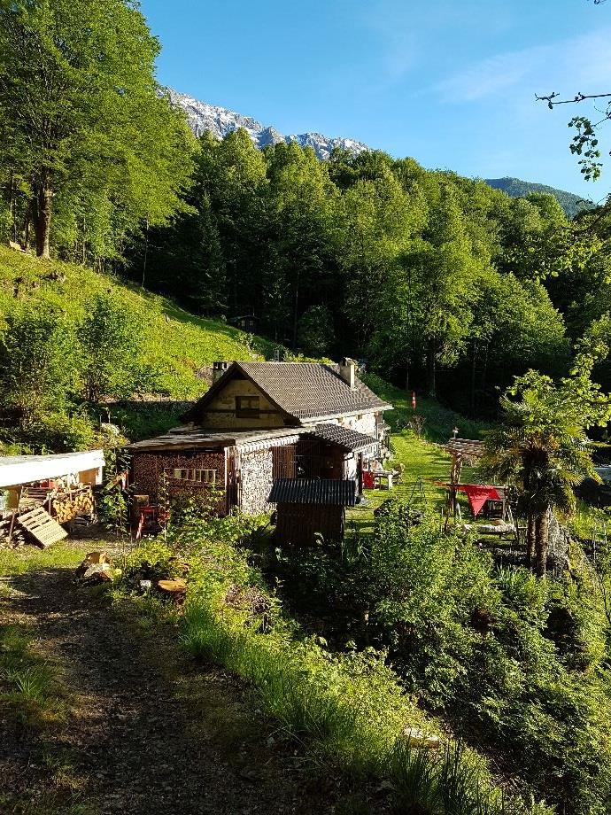 3.5 Zimmer Haus in 6657 Palagnedra zu verkaufen