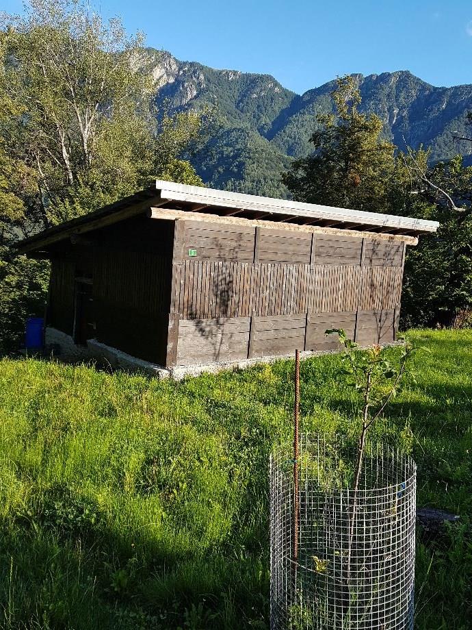 Bild 4: 3.5 Zimmer Haus in 6657 Palagnedra zu verkaufen