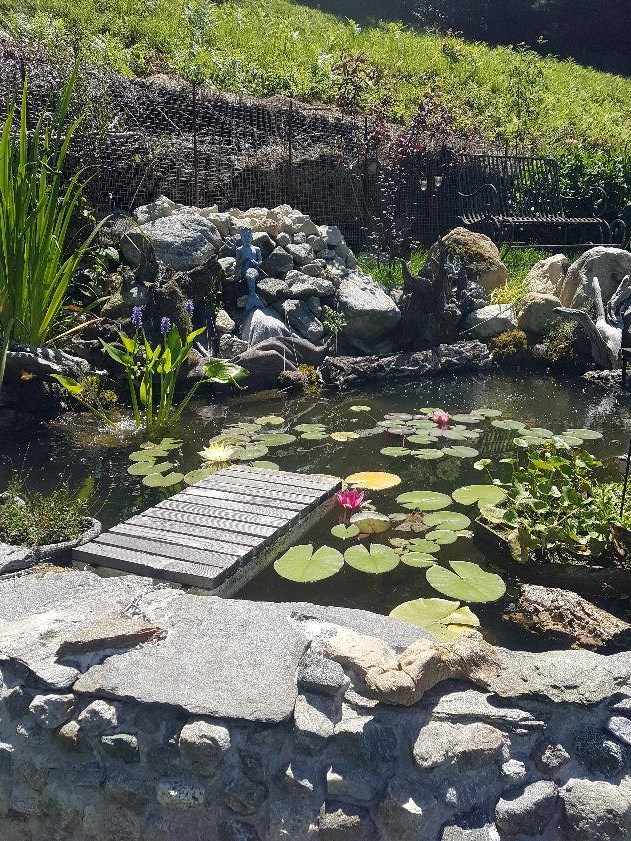 Bild 6: 3.5 Zimmer Haus in 6657 Palagnedra zu verkaufen