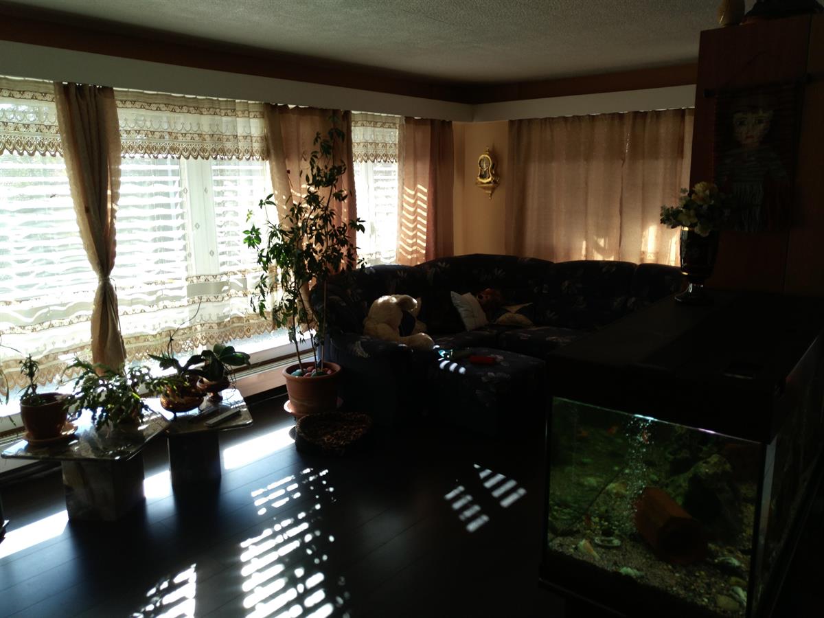 Bild 12: 5.5 Zimmer Haus in 4538 Oberbipp zu verkaufen