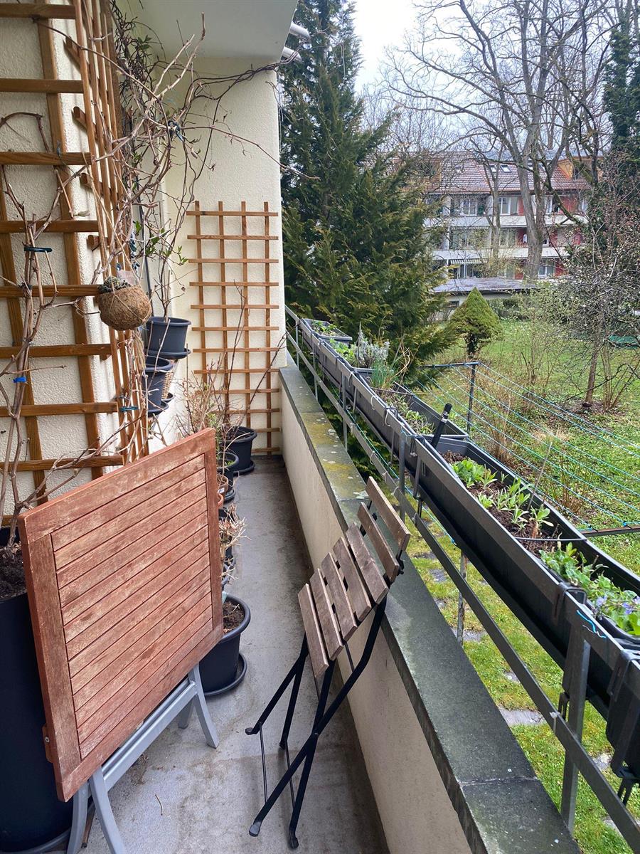 Bild 4: 3 Zimmer Wohnung in 3007 Bern Weissenbühl, Stadtteil III zu vermieten