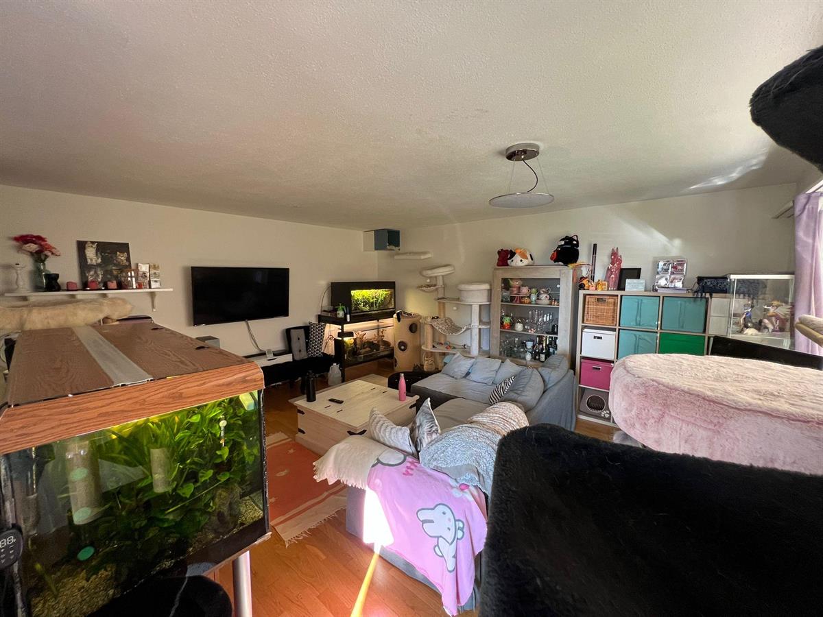 Bild 5: 2.5 Zimmer Wohnung in 8965 Berikon zu vermieten