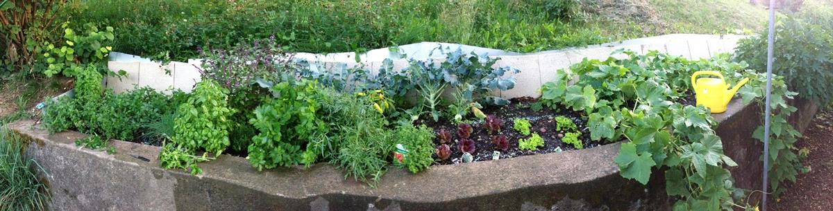 Bild 8: 5.5 Zimmer Haus in 8245 Feuerthalen zu verkaufen