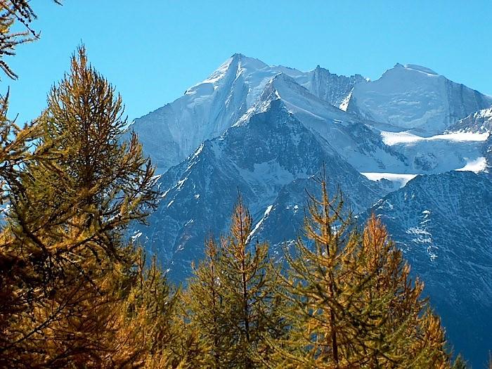 Bild 12: 2.5 Zimmer Ferienwohnung in 3925 Grächen zu vermieten