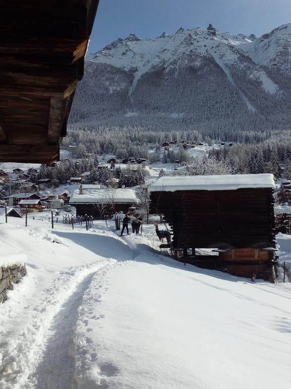 Bild 14: 2.5 Zimmer Ferienwohnung in 3925 Grächen zu vermieten