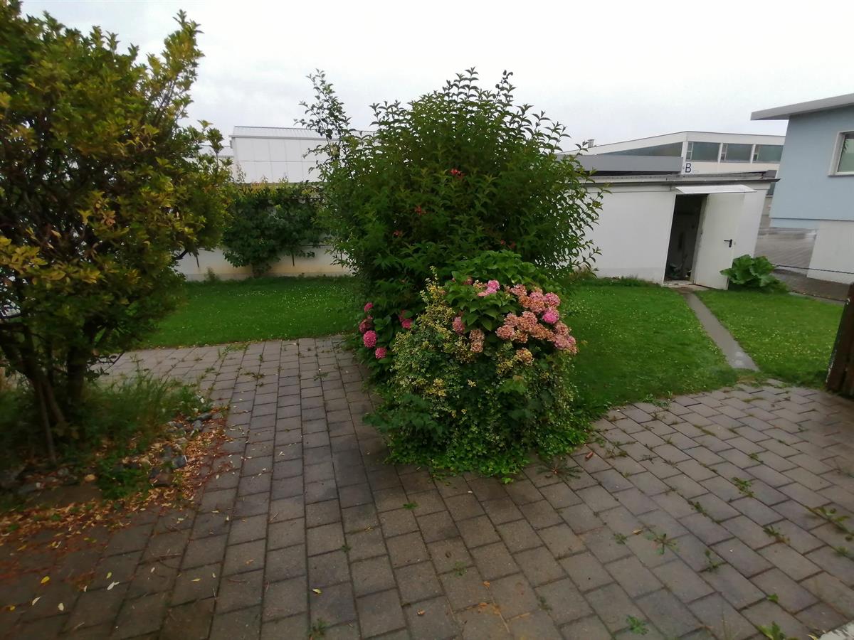 Bild 2: 7 Zimmer Haus in 9463 Oberriet SG zu vermieten