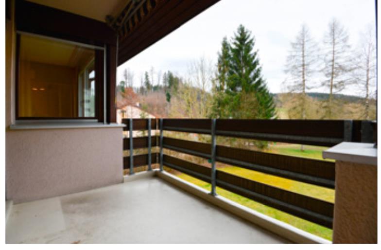 Bild 3: 2 Zimmer Wohnung in 8493 Saland zu vermieten