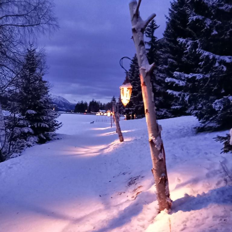 Bild 11: 2.5 Zimmer Ferienwohnung in 3963 Montana [Montana] zu vermieten