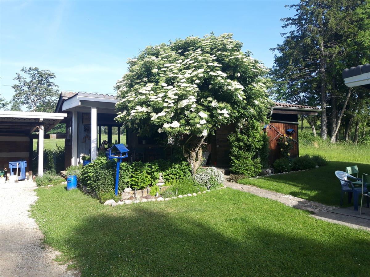 Bild 20: 3 Zimmer Haus in 2740 Moutier zu verkaufen