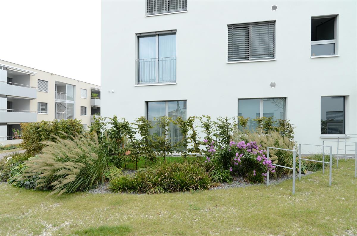 Bild 3: 3.5 Zimmer Wohnung in 6207 Nottwil zu vermieten