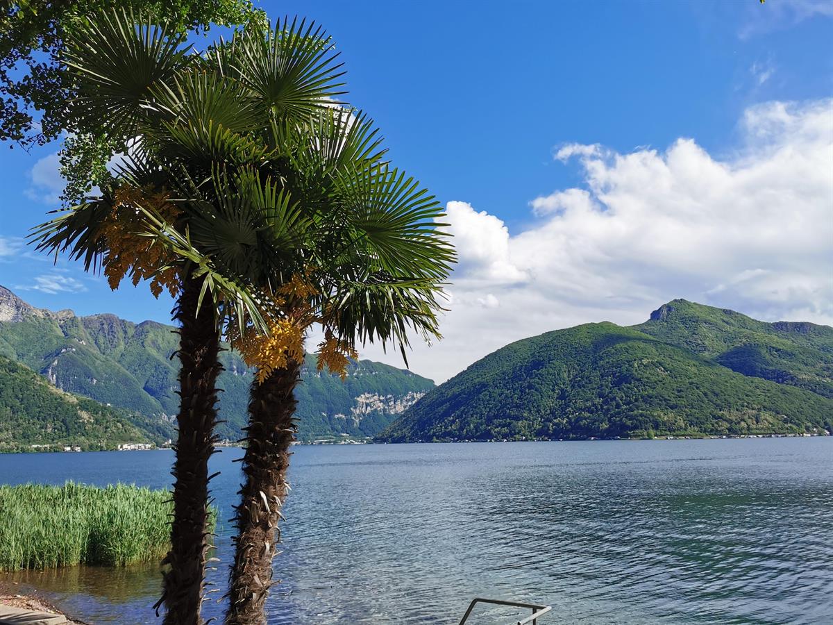 Bild 12: 1.5 Zimmer Wohnung in 6815 Melide zu verkaufen