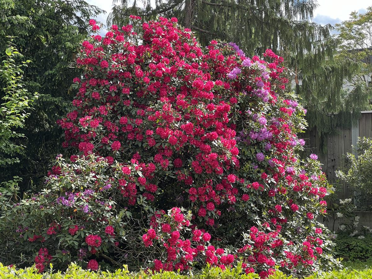 Bild 6: 1 Zimmer Büro/Gewerbe in 6340 Baar ZG zu vermieten