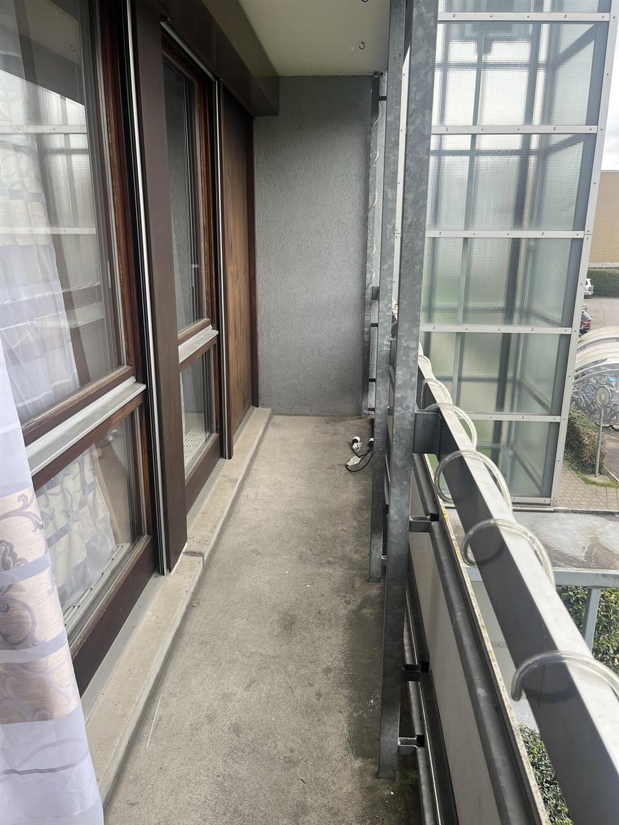 Bild 15: 4.5 Zimmer Wohnung in 5702 Niederlenz zu vermieten