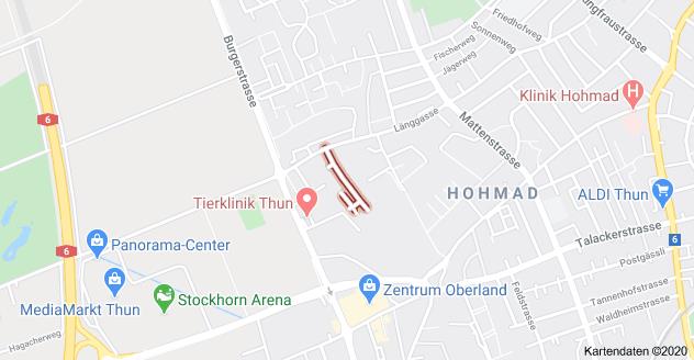 Bild 12: 3.5 Zimmer Wohnung in 3600 Thun zu vermieten