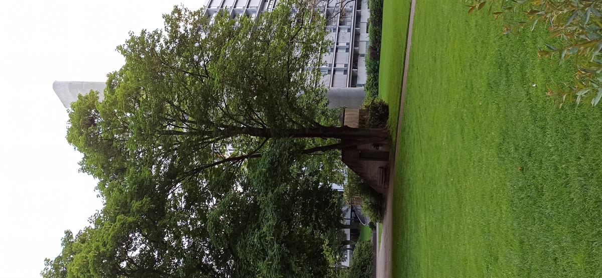 Bild 5: 3.5 Zimmer Wohnung in 3018 Bern Bümpliz, Stadtteil VI zu vermieten