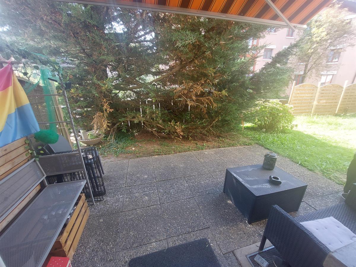 Bild 5: 2 Zimmer Wohnung in 8153 Rümlang zu vermieten