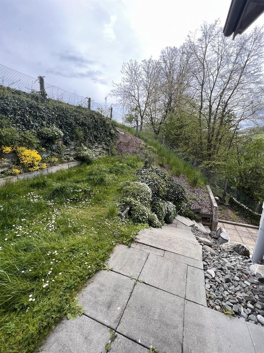 Bild 19: 5.5 Zimmer Wohnung in 4313 Möhlin zu vermieten