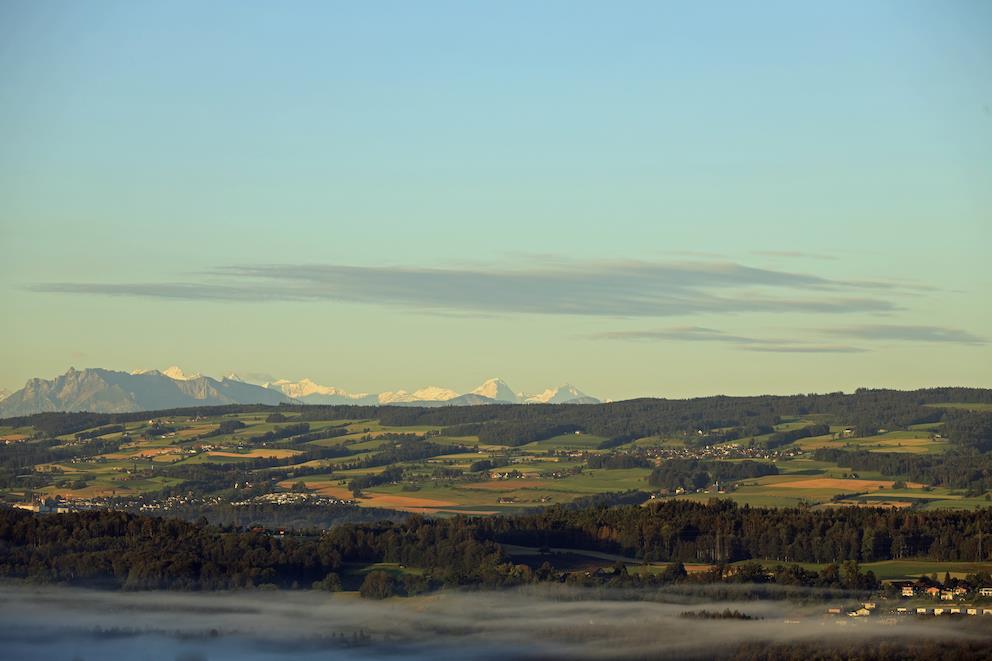 Bild 3: 3.5 Zimmer Haus in 5621 Zufikon zu vermieten