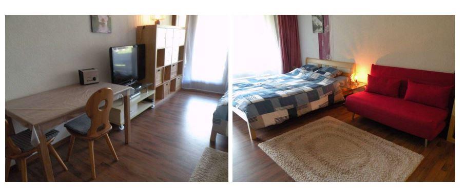 Bild 2: 1.5 Zimmer Ferienwohnung in 3755 Horboden zu vermieten