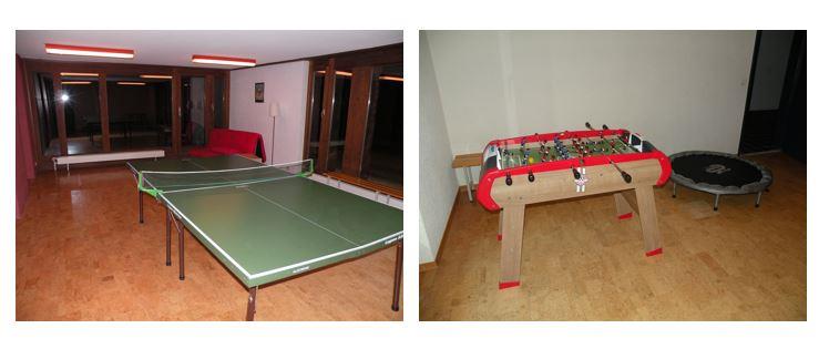 Bild 4: 1.5 Zimmer Ferienwohnung in 3755 Horboden zu vermieten