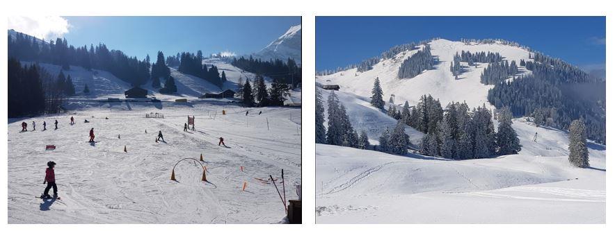 Bild 5: 1.5 Zimmer Ferienwohnung in 3755 Horboden zu vermieten