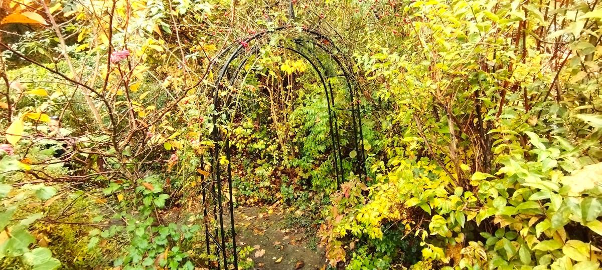 Bild 10: 4.5 Zimmer Haus in 5200 Brugg zu verkaufen