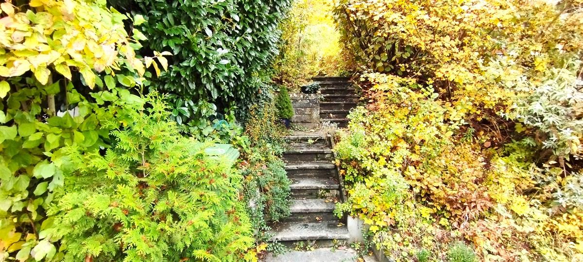 Bild 2: 4.5 Zimmer Haus in 5200 Brugg zu verkaufen