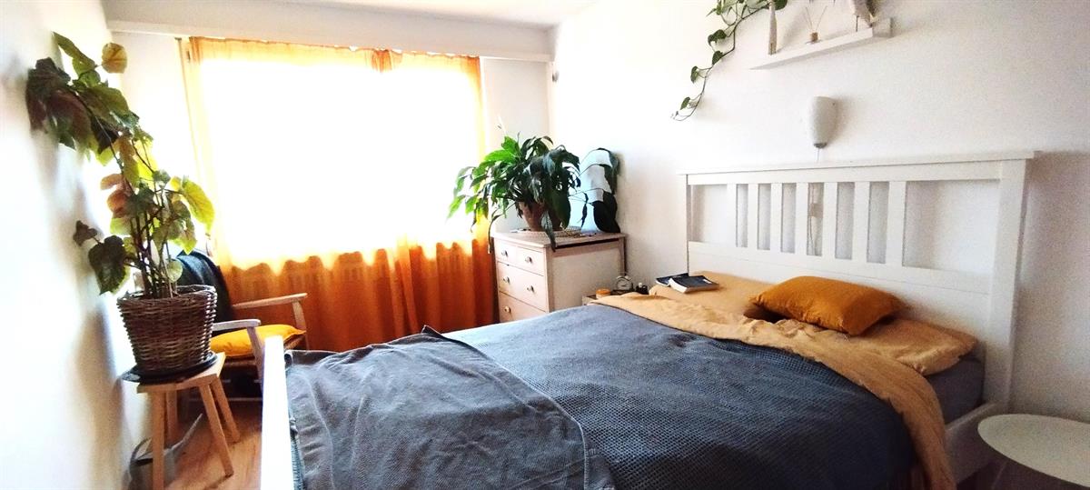 Bild 4: 4.5 Zimmer Haus in 5200 Brugg zu verkaufen