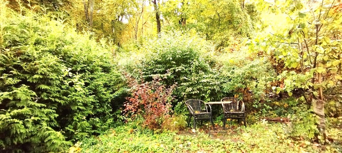 Bild 9: 4.5 Zimmer Haus in 5200 Brugg zu verkaufen