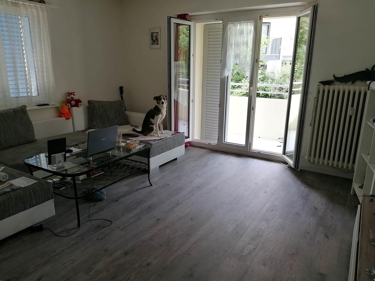 Bild 6: 3 Zimmer Wohnung in 5070 Frick zu vermieten