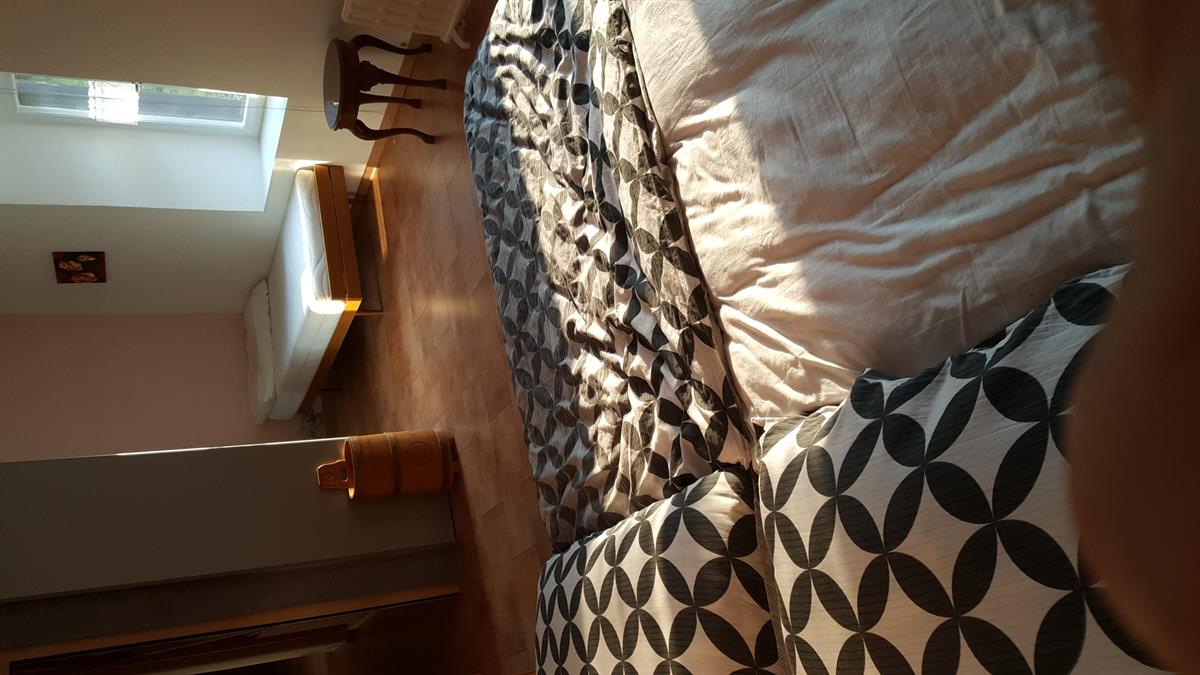 Bild 3: 4 Zimmer Ferienwohnung in 7472 Surava zu vermieten