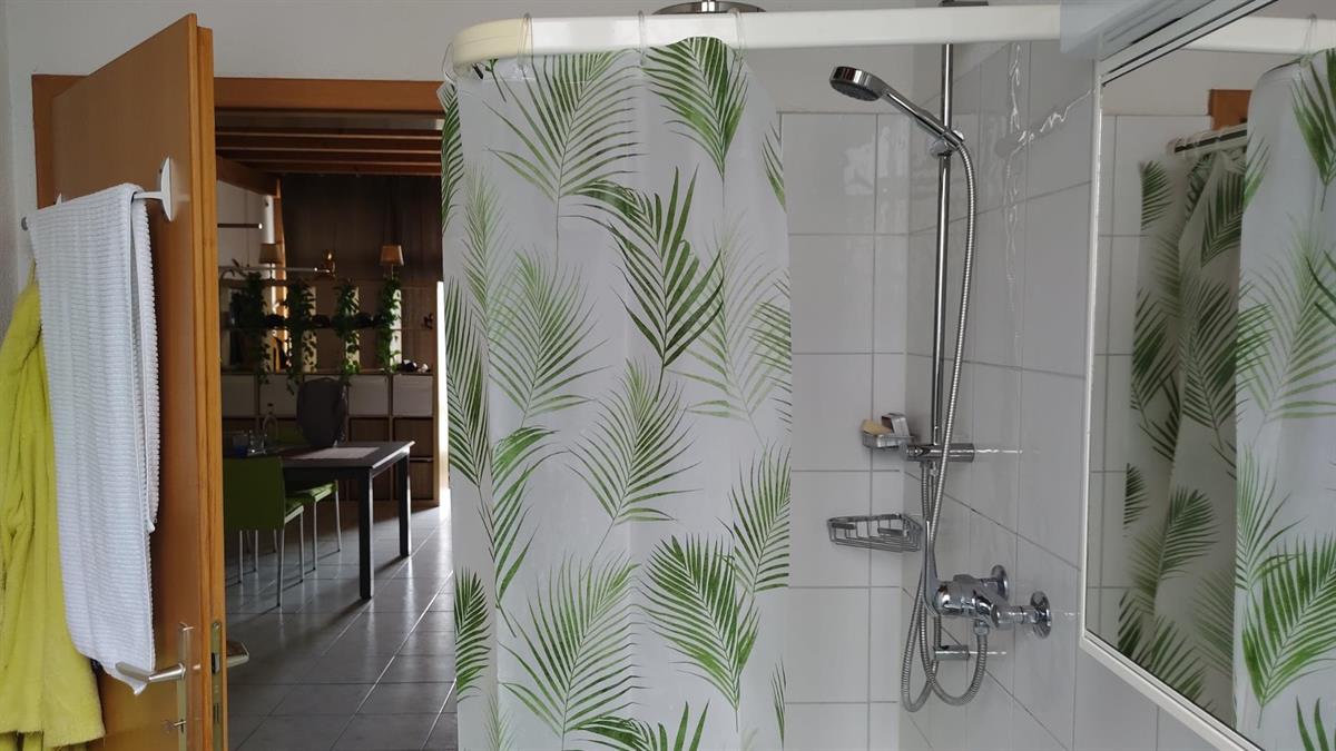 Bild 4: 2 Zimmer Wohnung in 5600 Lenzburg zu vermieten