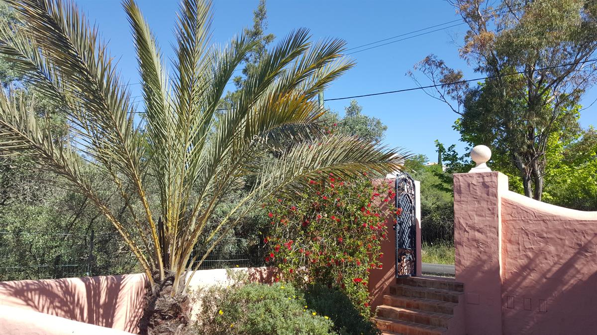 Bild 5: 6 Zimmer Ferienhaus in 8268 Salenstein zu vermieten