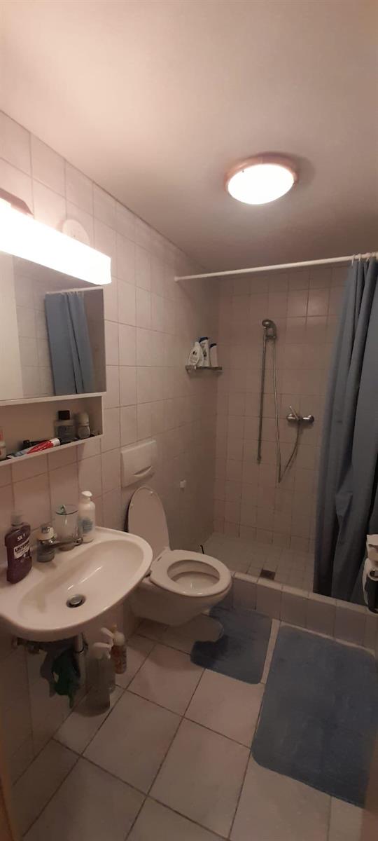 Bild 4: 2.5 Zimmer Wohnung in 4937 Ursenbach zu vermieten