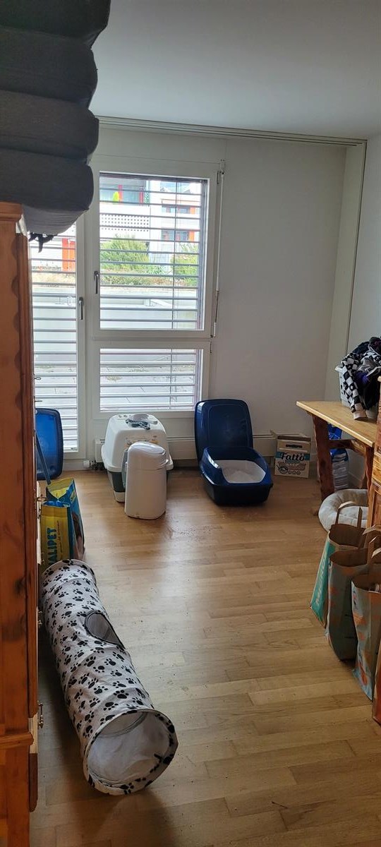 Bild 6: 3.5 Zimmer Wohnung in 3600 Thun zu vermieten