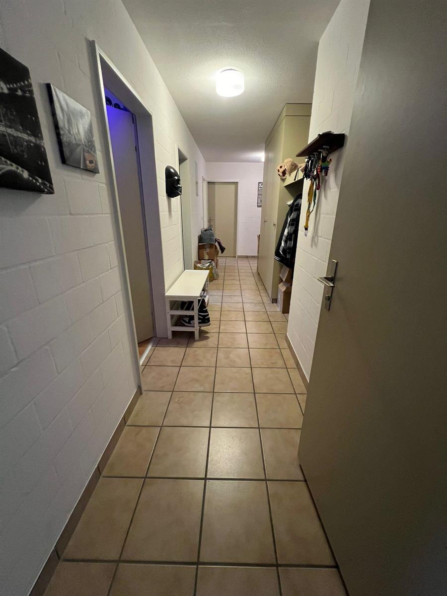 Bild 2: 4.5 Zimmer Wohnung in 8353 Elgg zu vermieten