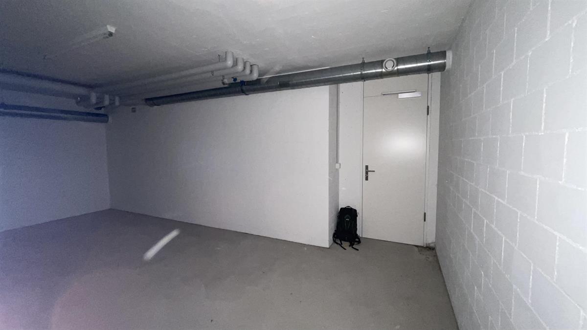 Bild 3: Immobilie in 6018 Buttisholz zu vermieten